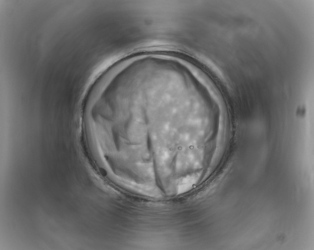X0000090631413200708141424