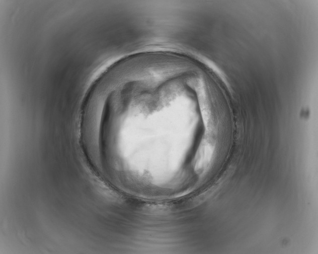 X0000090631415200708141424