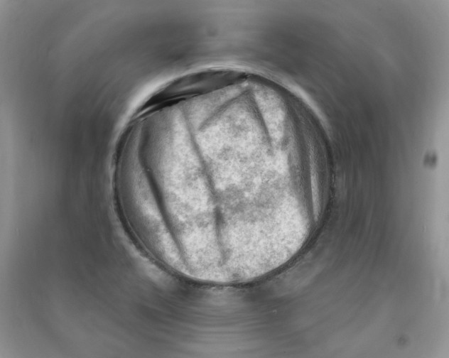X0000090631416200708141424