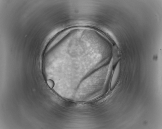 X0000090631419200708141424