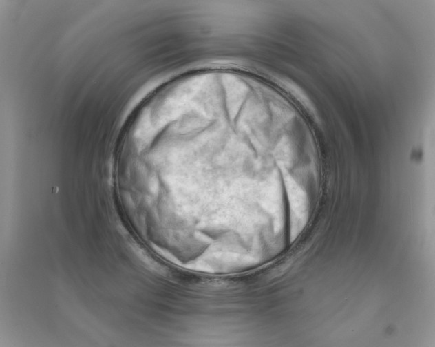 X0000090631420200708141424