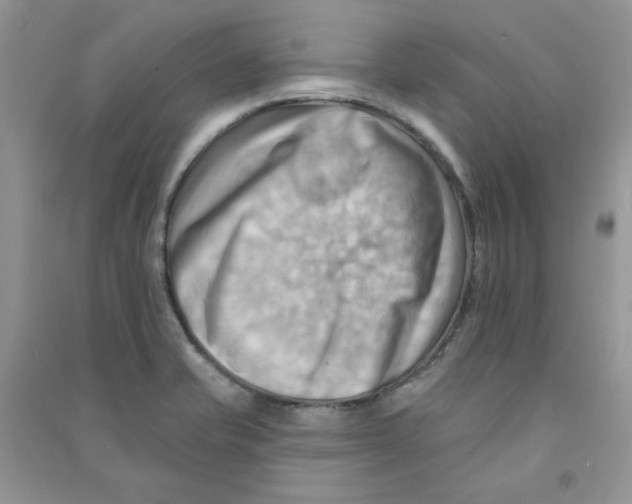 X0000090631421200708141424