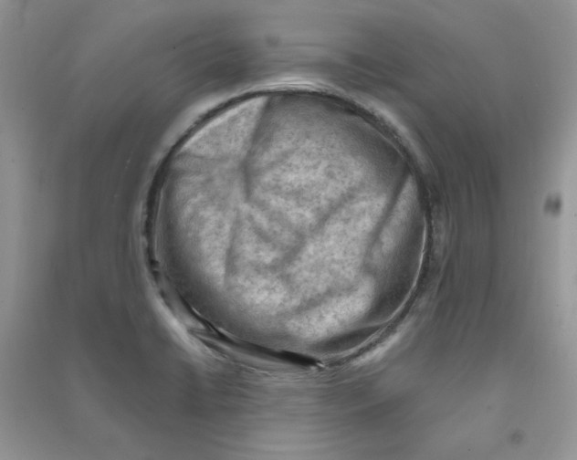 X0000090631422200708141424