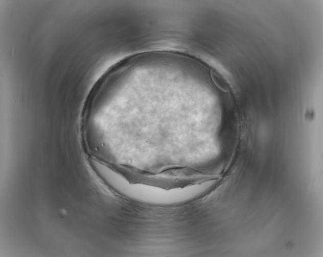 X0000090631423200708141424