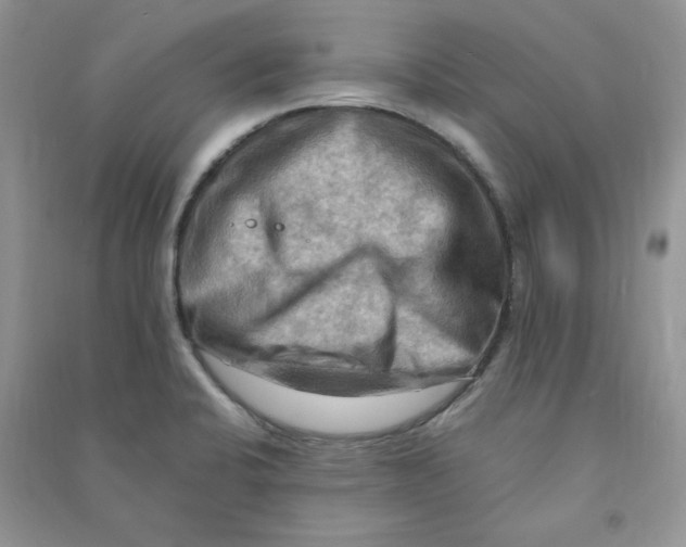 X0000090631424200708141424