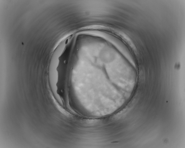 X0000090631425200708141424