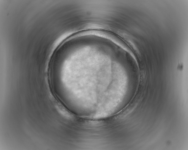 X0000090631427200708141424