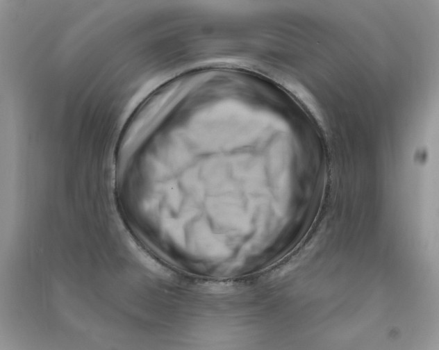 X0000090631428200708141424
