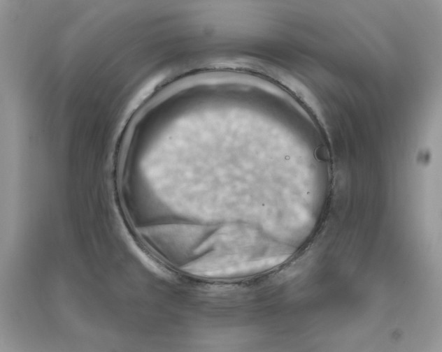 X0000090631429200708141424