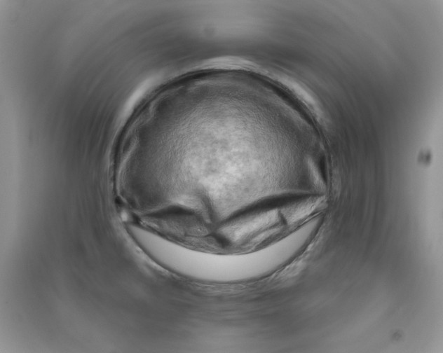 X0000090631430200708141424