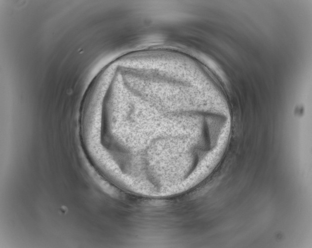 X0000090631431200708141424