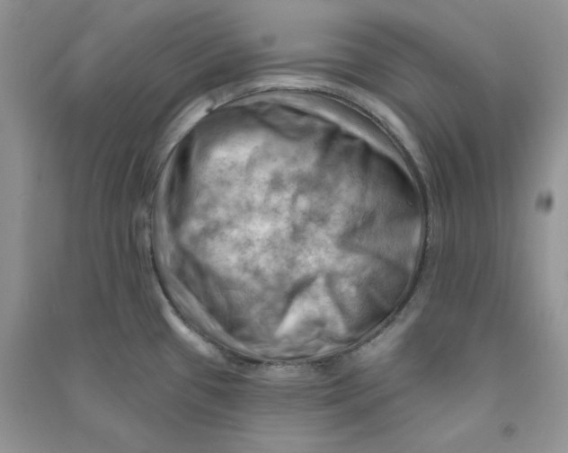 X0000090631433200708141424