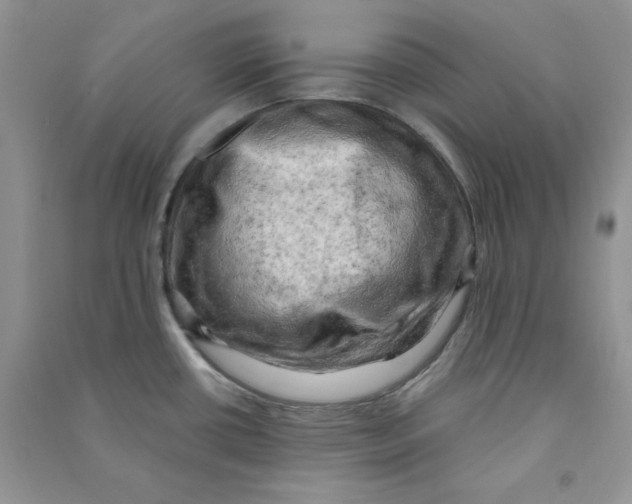 X0000090631434200708141424