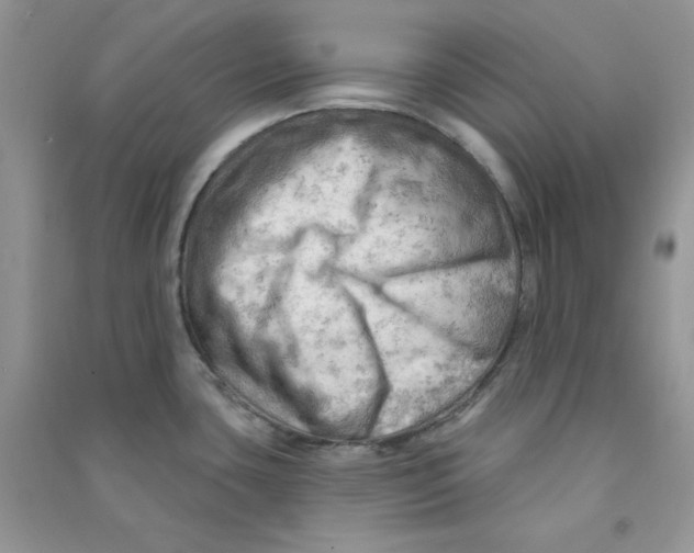 X0000090631435200708141424
