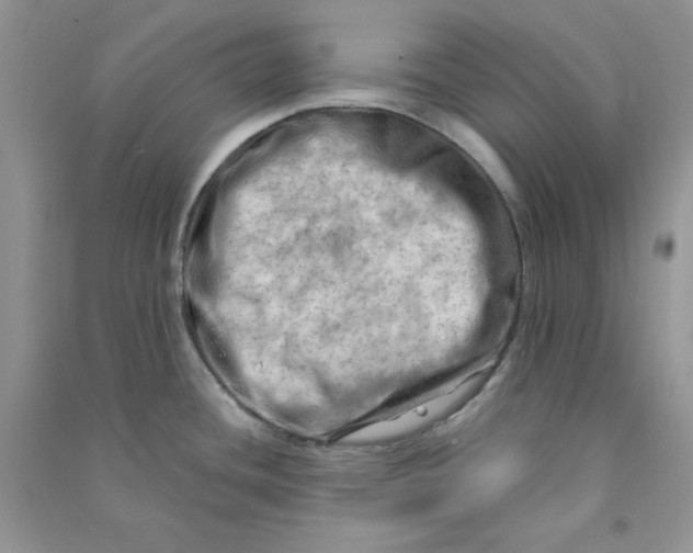 X0000090631436200708141424