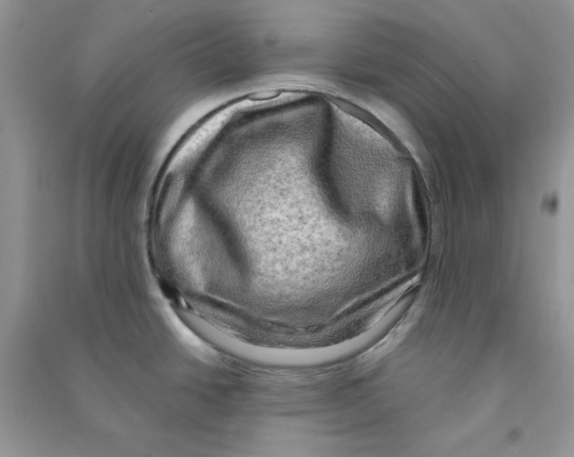 X0000090631438200708141425
