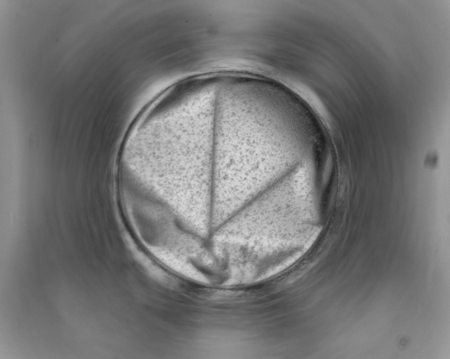 X0000090631439200708141425