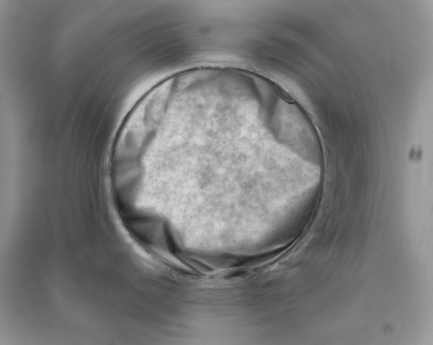 X0000090631440200708141425