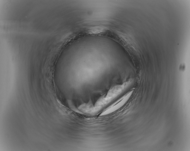 X0000090631441200708141424