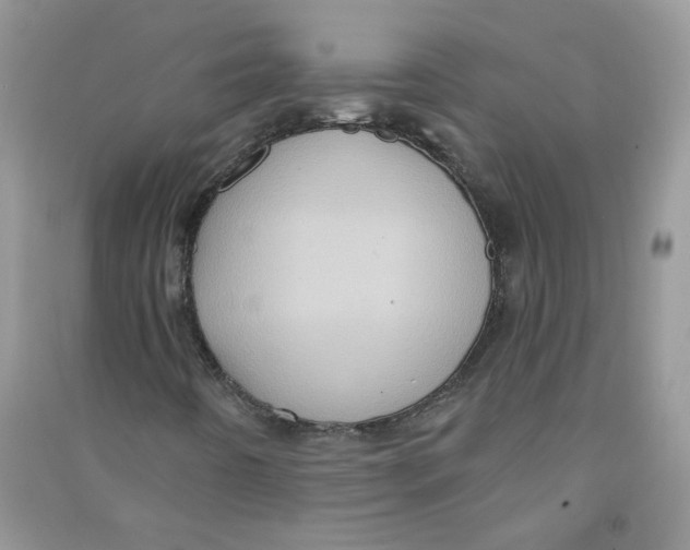 X0000090631442200708141424
