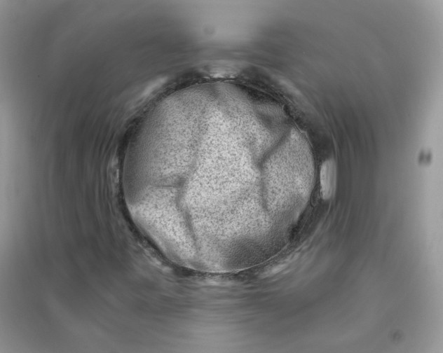 X0000090631443200708141424
