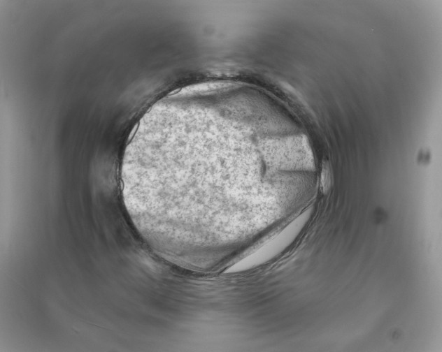 X0000090631444200708141424