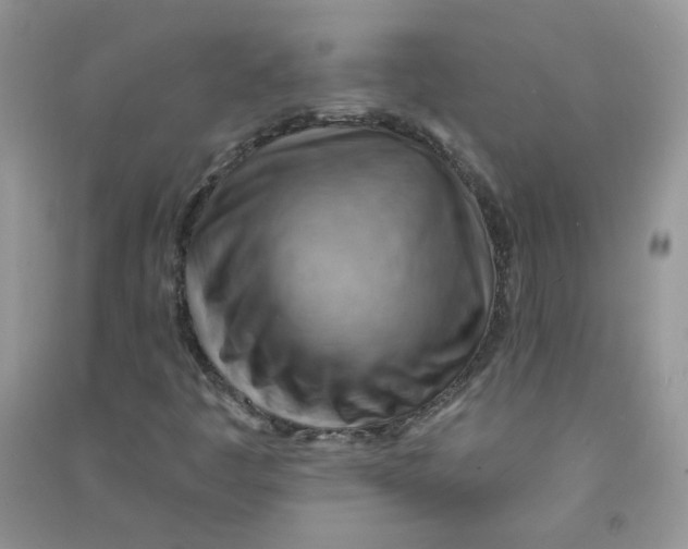 X0000090631445200708141424