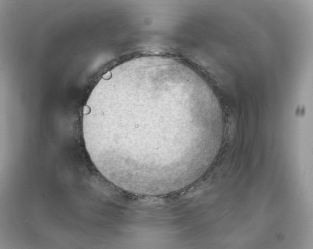 X0000090631446200708141424