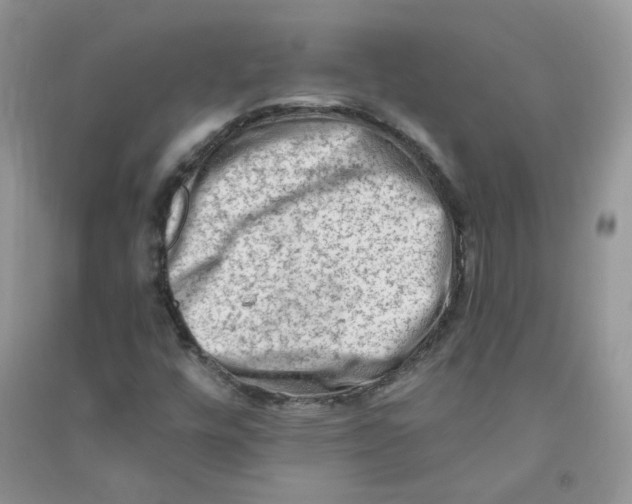 X0000090631448200708141424