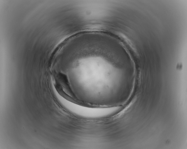 X0000090631449200708141424