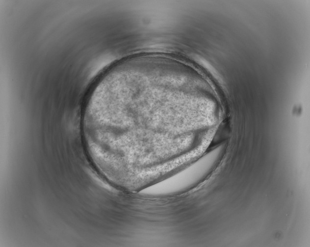 X0000090631450200708141424