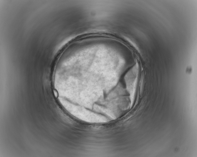 X0000090631452200708141424