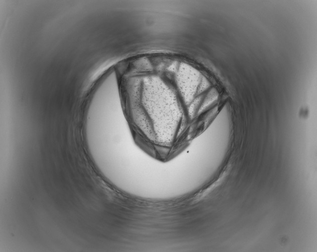 X0000090631453200708141424