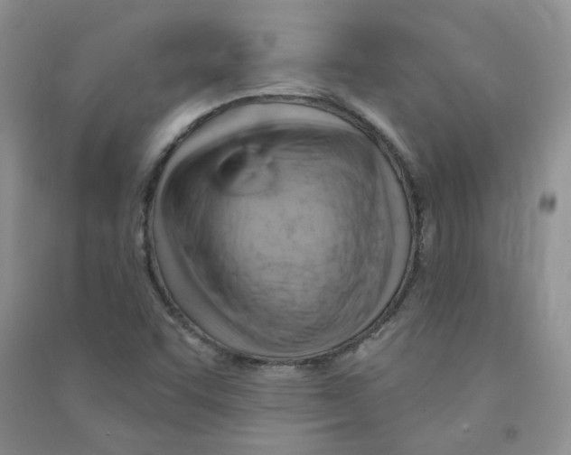 X0000090631455200708141424