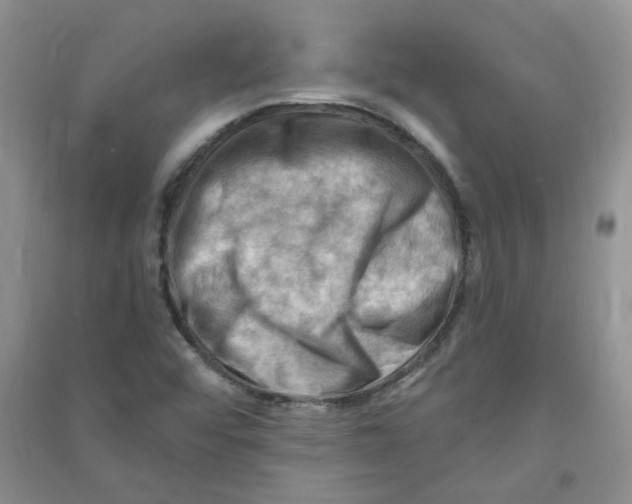 X0000090631456200708141424