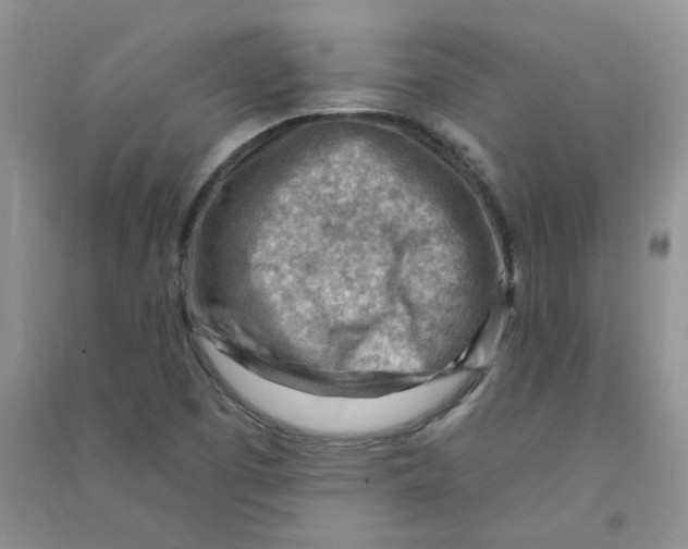 X0000090631457200708141424