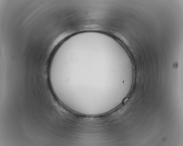 X0000090631458200708141424