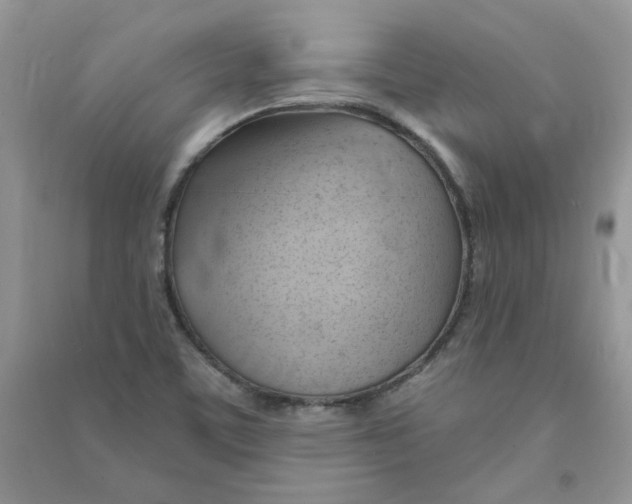 X0000090631459200708141424