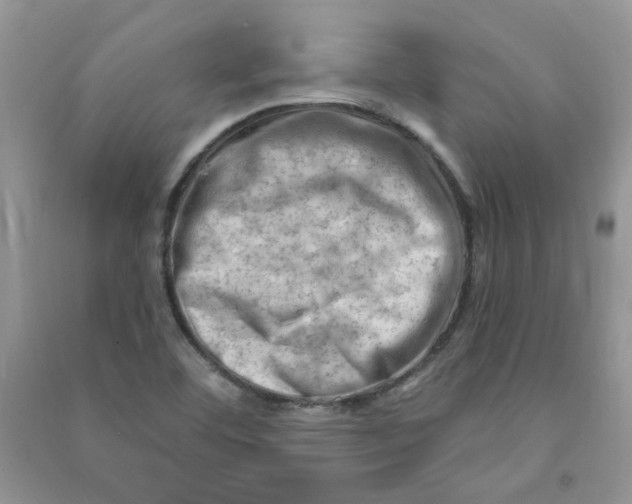 X0000090631460200708141424