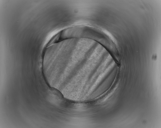 X0000090631461200708141424