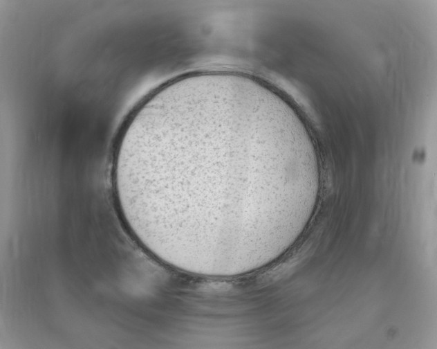 X0000090631462200708141424