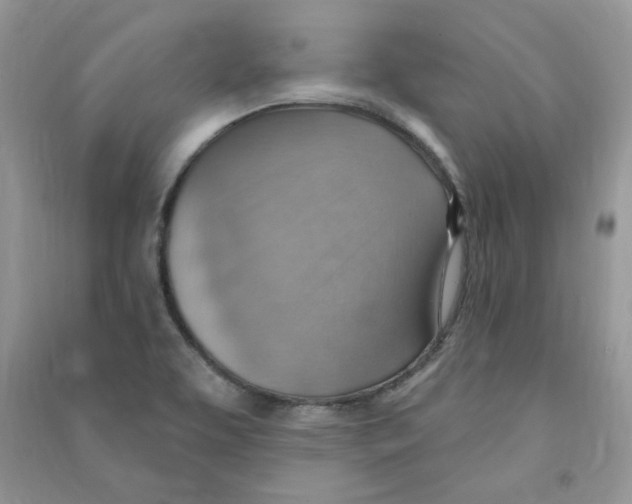 X0000090631463200708141424