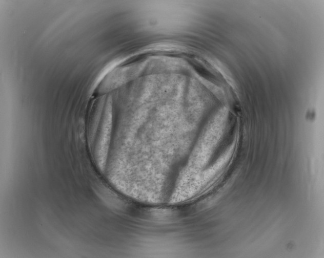 X0000090631465200708141424