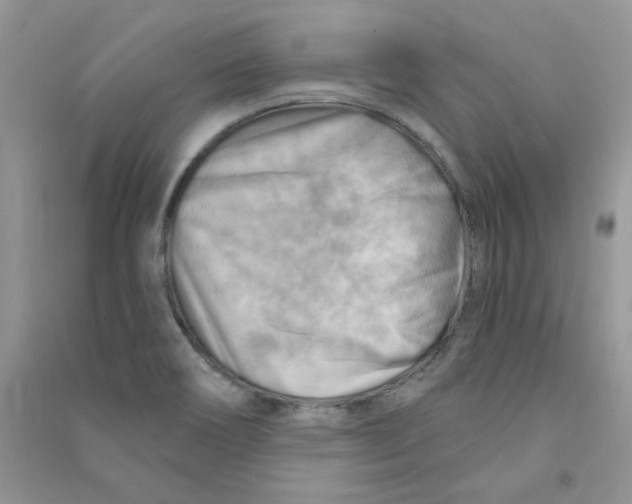 X0000090631466200708141424
