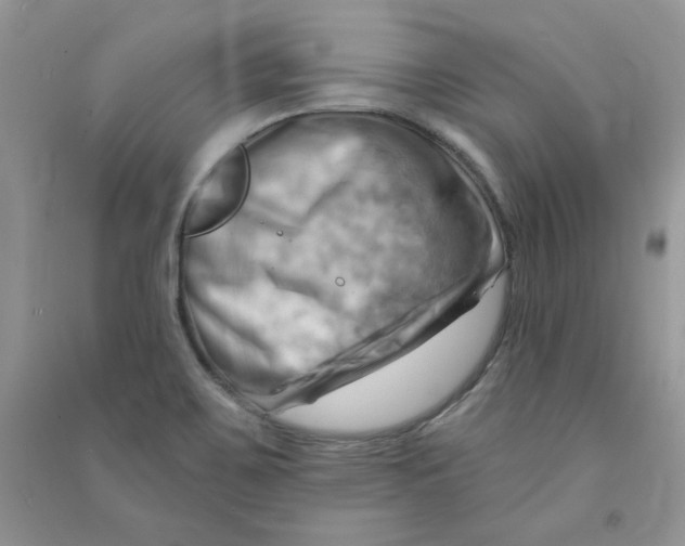 X0000090631467200708141424