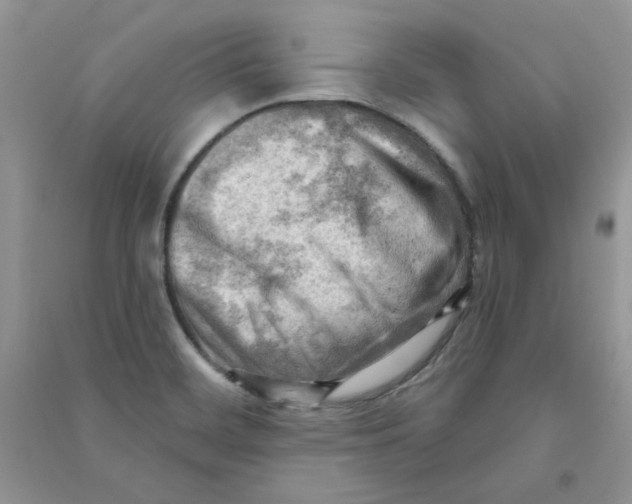 X0000090631468200708141424
