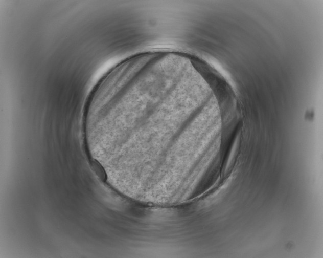 X0000090631469200708141424