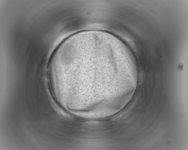 X0000090631470200708141424
