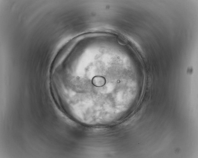 X0000090631471200708141424