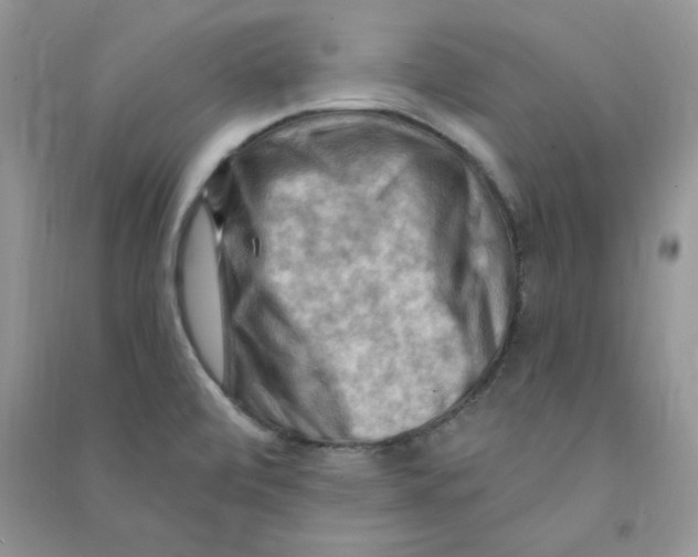 X0000090631472200708141424